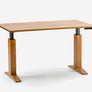 "Stevie" Electric Sit Stand Desk